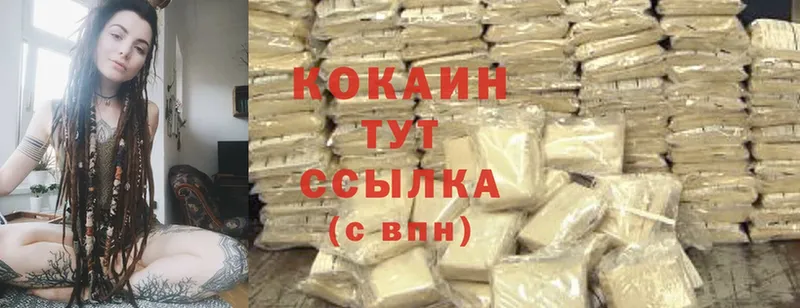 Cocaine Fish Scale  купить наркоту  Удачный 